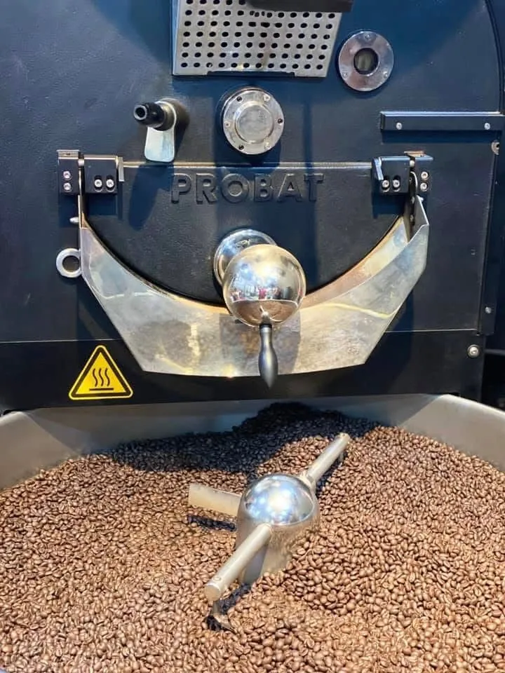Freshly roasted coffee beans dropping into the cooling tray of a Probat roaster