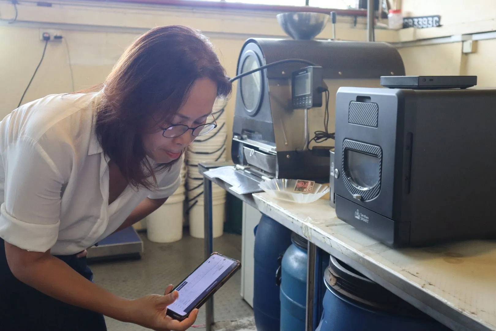 A roaster checking a batch of coffee at the roasting machine for quality control