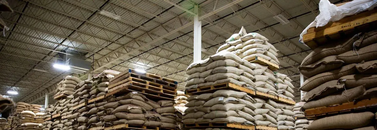 Warehouse stacked with sacks of green Vietnamese coffee beans ready for export